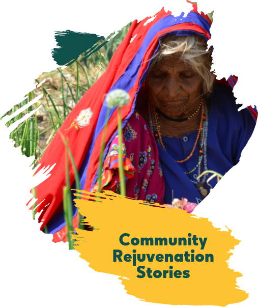 Community Rejuvenation Stories