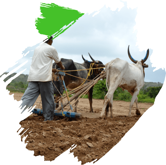 Overdependence-on-Agriculture