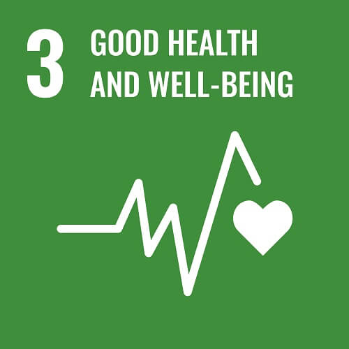 3 Good Health And Well Being