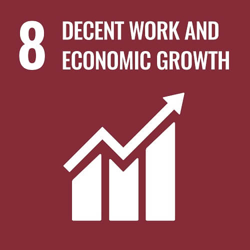 8 Decent Work And Economic Growath