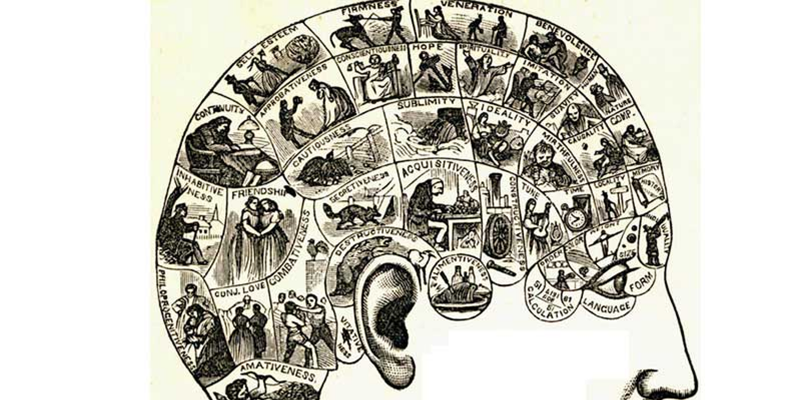 Perception-brain