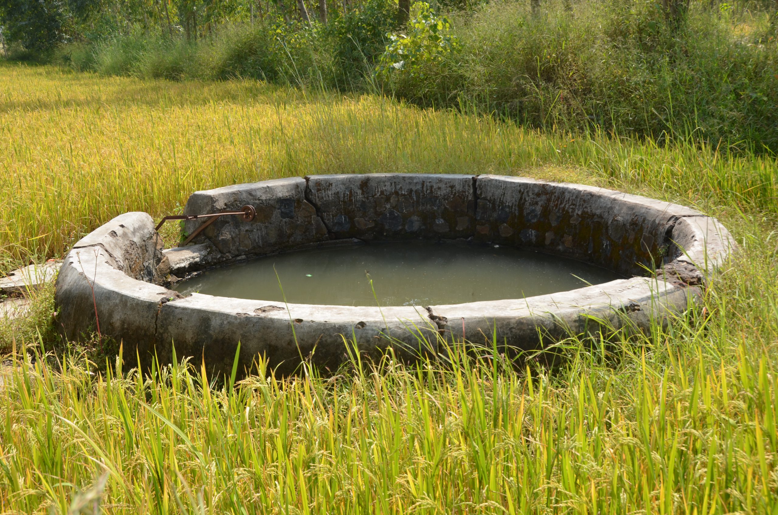 A Farm Well for Rainwater Harvesting