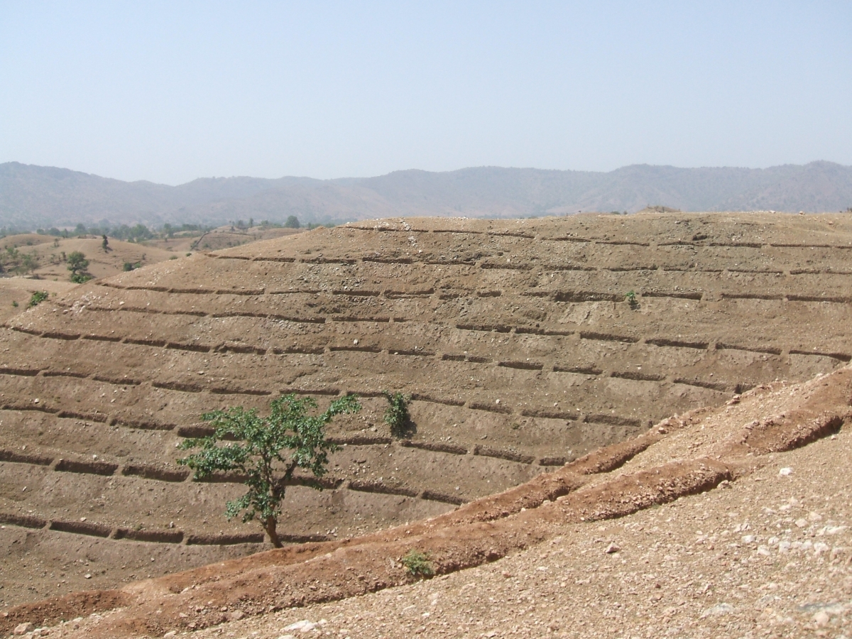 Rainwater harvesting through Continuous Contour Trenches (CCT) in Udaipur, Rajasthan.