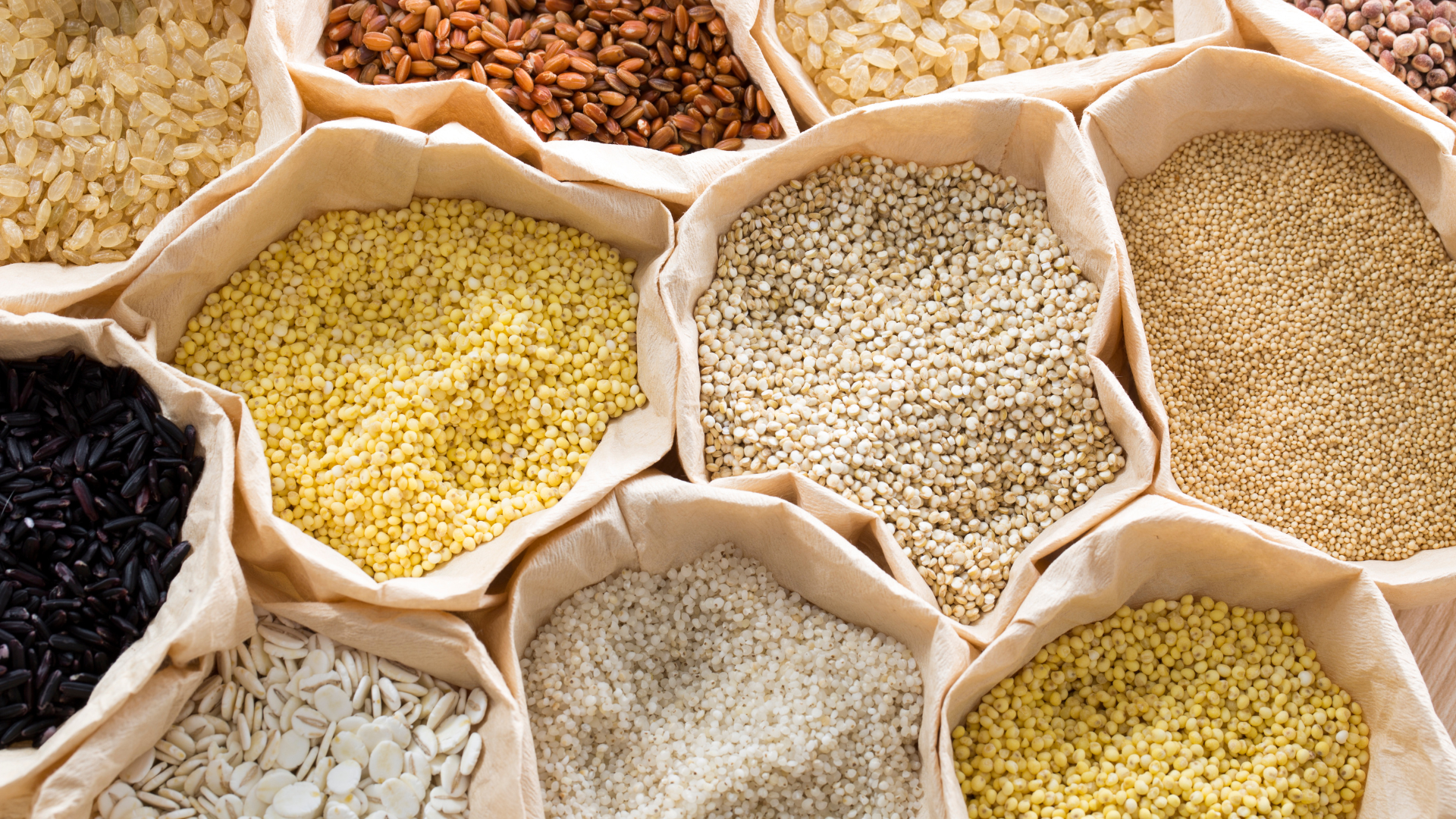 2023 - The International Year of Millets: A Gateway to Nutritional and Climate Resilience